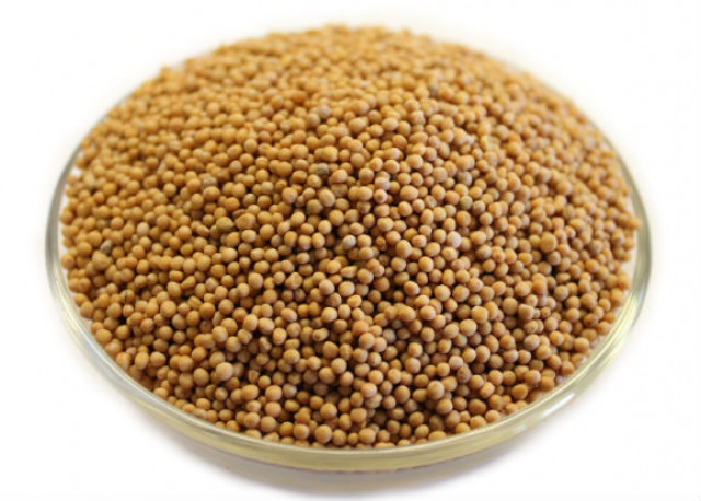 Yellow Mustard Seeds - whole spice