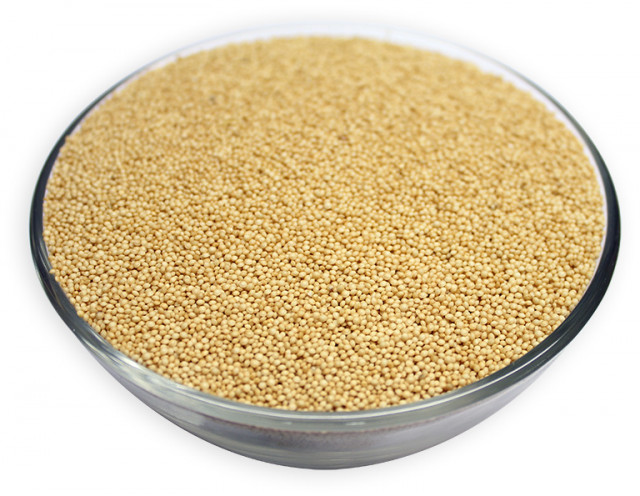 Amaranth Grain Seeds