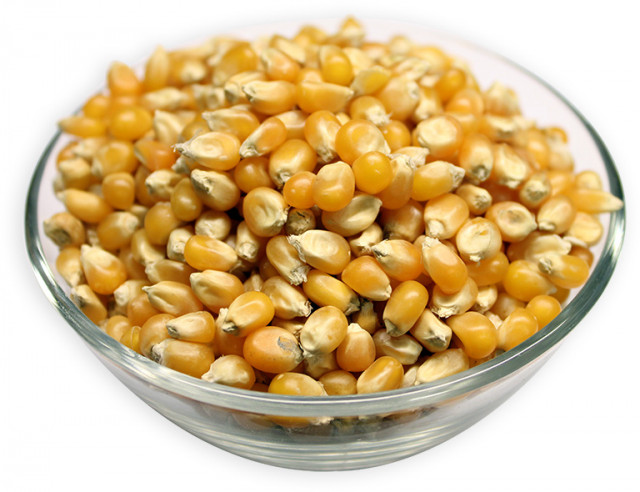 Popcorn (Raw Corn) Seeds