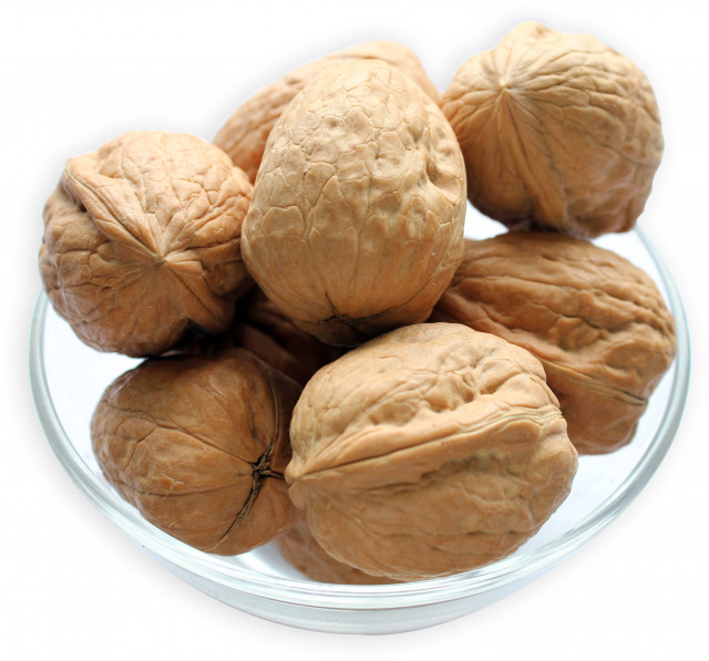 Walnuts in Shell